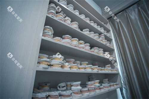 牙齿模型展示图 牙齿模型展示图