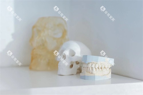 牙齿材料展示
