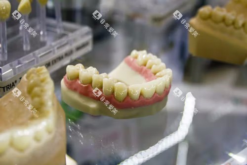牙科材料参考图