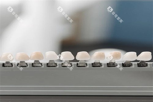 义齿材料宣传图