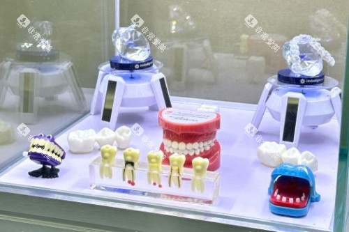 汕头牙博士口腔牙齿模型展示图