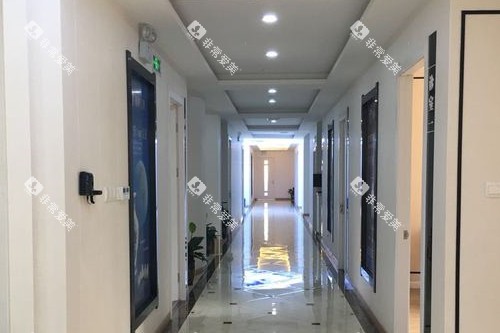 上海瑞伢美瑞亭口腔走廊图