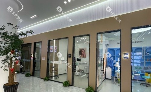 景德镇昌华玉牙口腔环境示意图