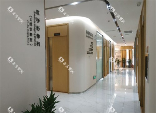 中山大象口腔走廊 中山大象口腔走廊