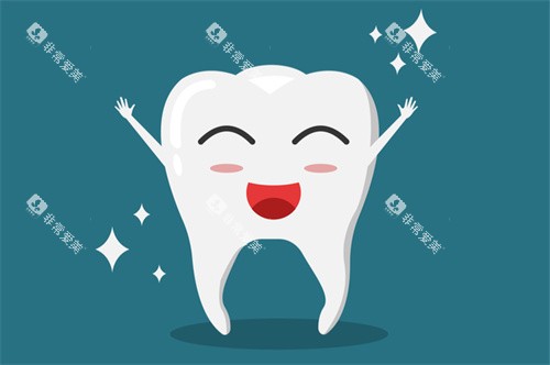 健康的牙齿动画图 健康的牙齿动画图
