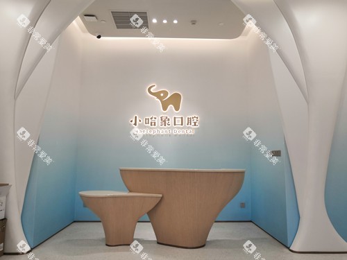 东莞小哈象大朗口腔前台
