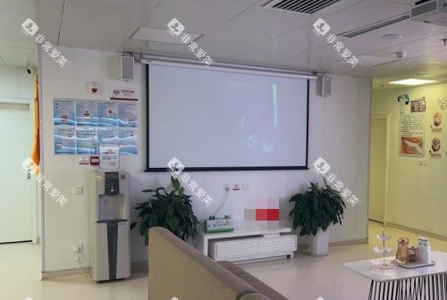 西安小白兔口腔环境示意图 西安小白兔口腔环境示意图