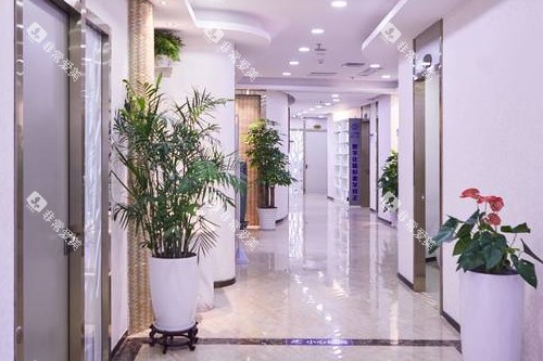深圳鹏程口腔走廊环境图