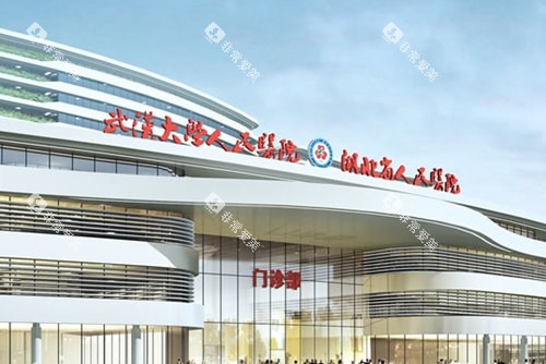 武汉大学人民医院洪山院区 武汉大学人民医院洪山院区