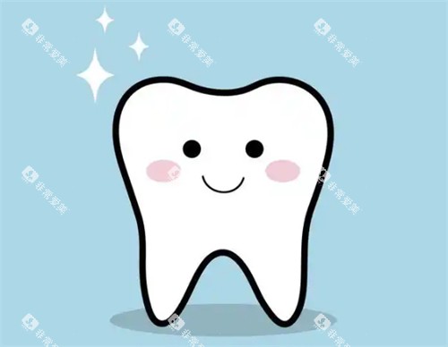 牙齿模拟图 牙齿模拟图