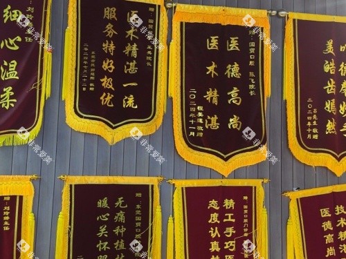 东莞国贸口腔荣誉锦旗示意图