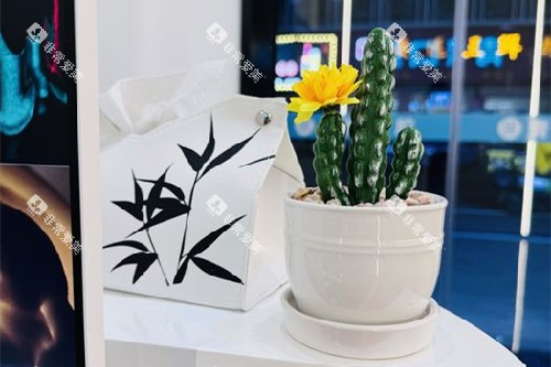 赣州青檬口腔内部环境图