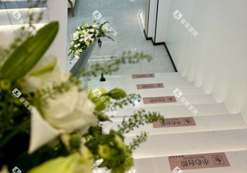 哈尔滨舒诺口腔走廊示意图 哈尔滨舒诺口腔走廊示意图