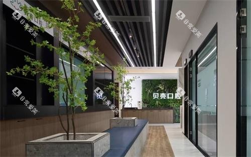 无锡贝壳口腔内部环境图