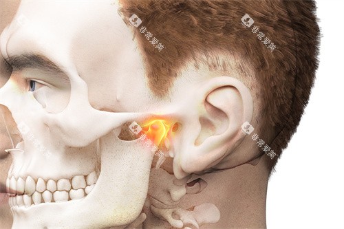 颞下颌关节部位