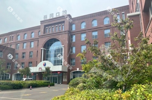 青岛宝岛吾同口腔规模示意图