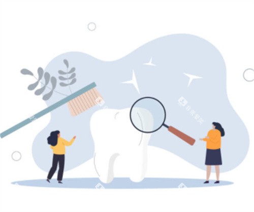 牙齿清洁示意图