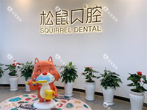 昆明松鼠口腔logo图