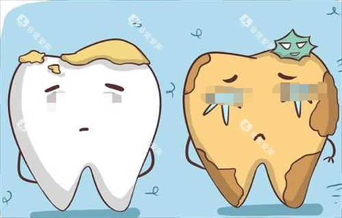 烂牙齿动画形象展示图