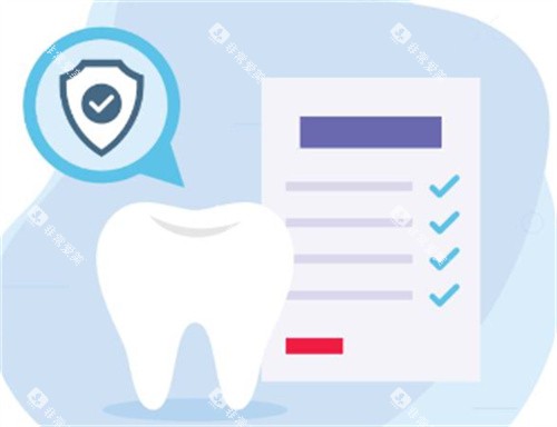 牙齿档案 牙齿档案