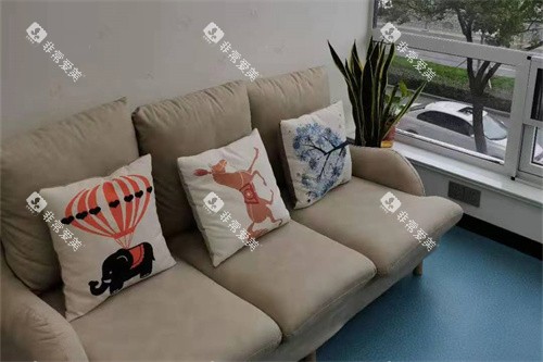 泰州兴化一诺口腔休息沙发