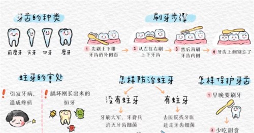 儿童保护牙齿科普 儿童保护牙齿科普